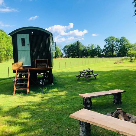The Big Green Shepherds Hut Charlwood Exteriör bild