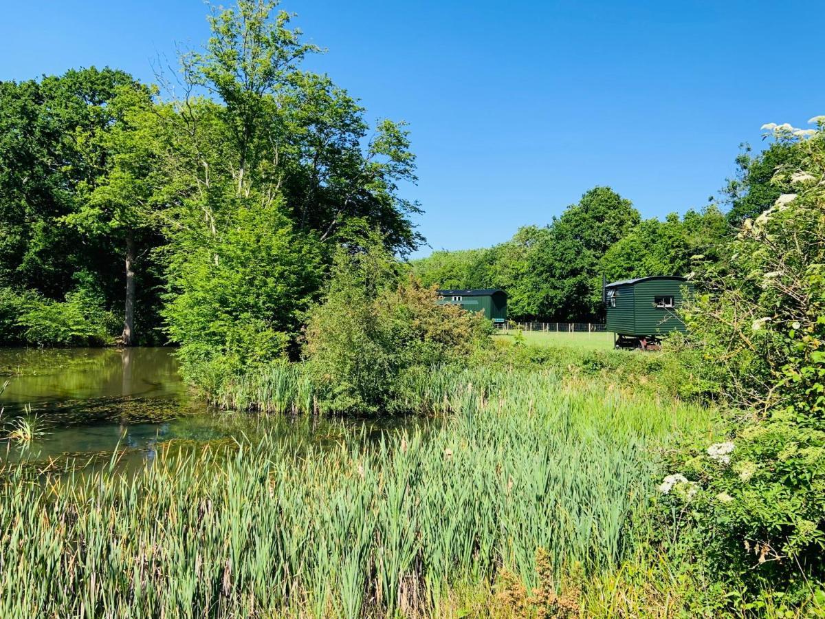 The Big Green Shepherds Hut Charlwood Exteriör bild