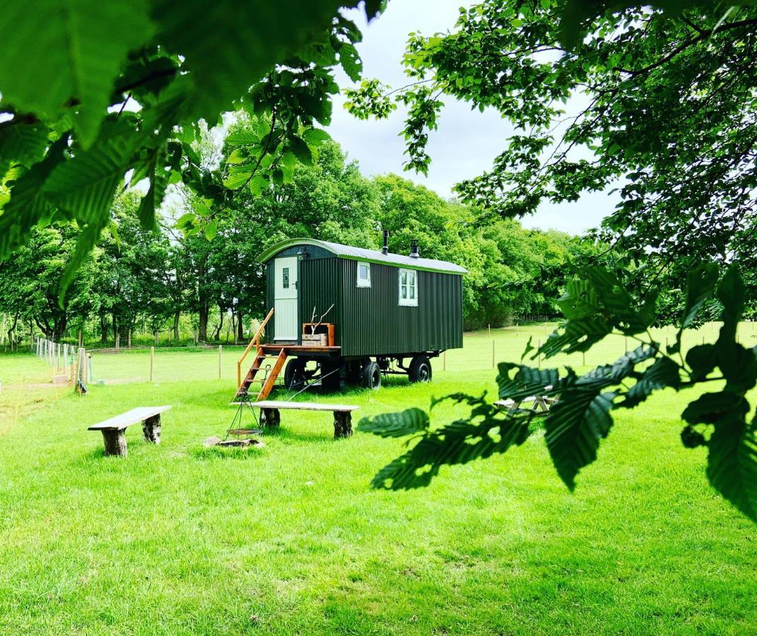 The Big Green Shepherds Hut Charlwood Exteriör bild